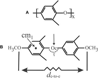 Molecular Features Behind Formation of α or β Co-Crystalline and Nanoporous-Crystalline Phases of PPO